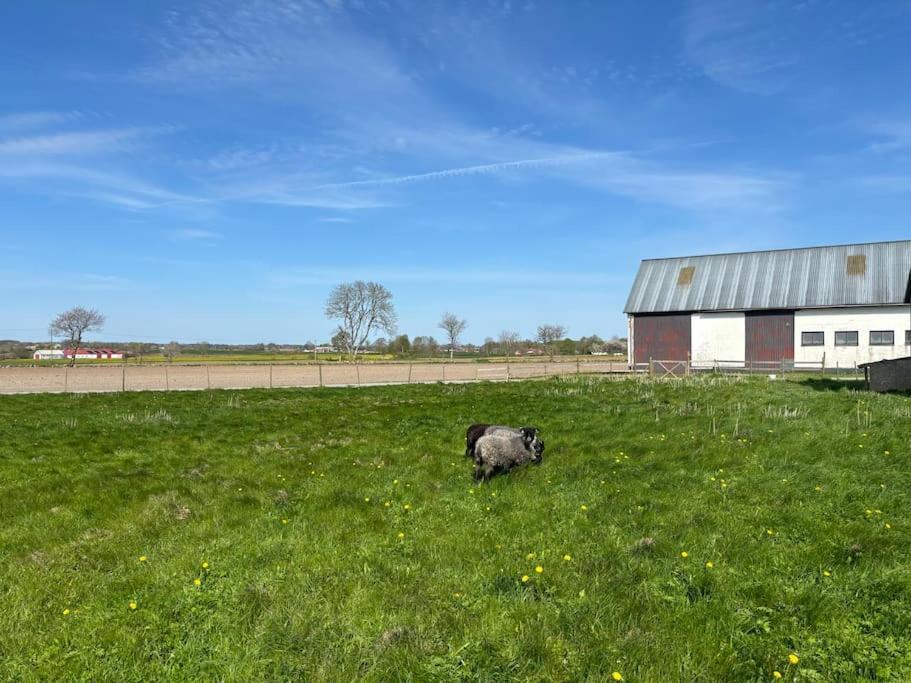 Oesterlen Oasis Spjutstorp Eksteriør billede